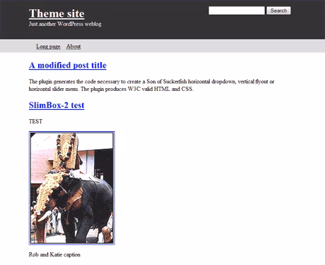 Simple CMS theme for WordPress