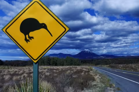 A Kiwi crossing in the North Island of New Zealand. Photo was stolen from King David.