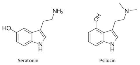 Serotonin vs psilocin