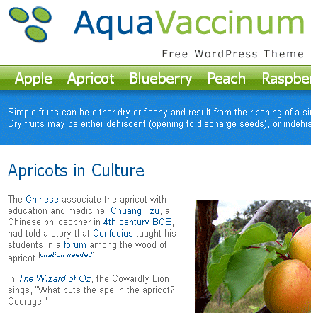 Aqua Vaccinium WordPress theme